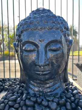 Cast Statue Buddha Head