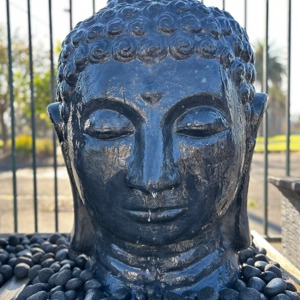 Buddha Head Water Feature Package